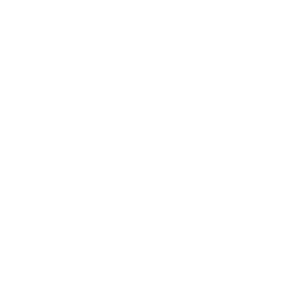 Reporting